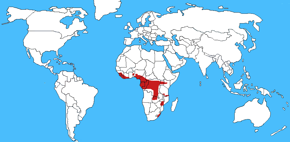 Mappa diffusione vipera del Gabon - Bitis gabonica