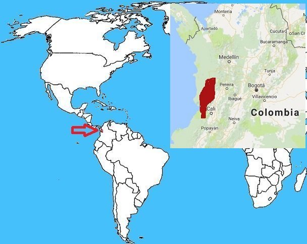 Mappa diffusione Rana dardo kokoe - Phyllobates aurotaenia