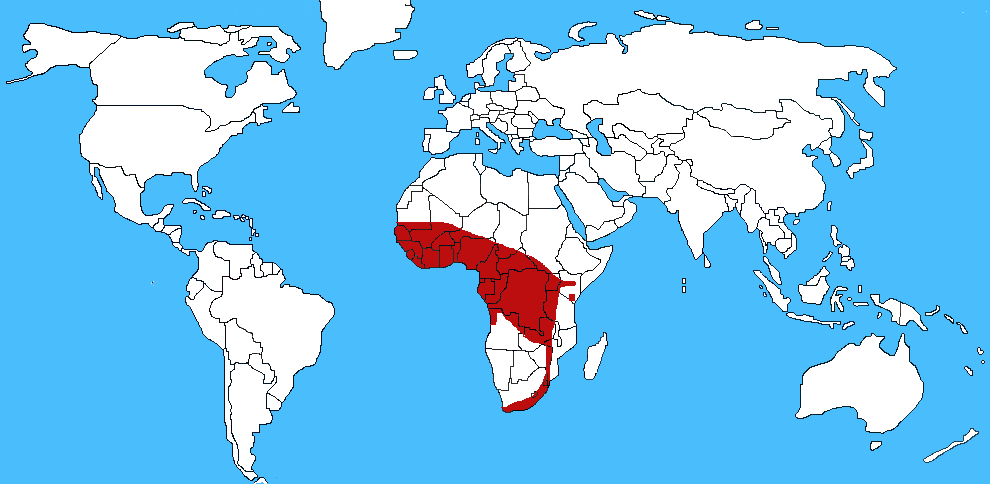 Mappa diffusione Naja melanoleuca - Cobra della foresta
