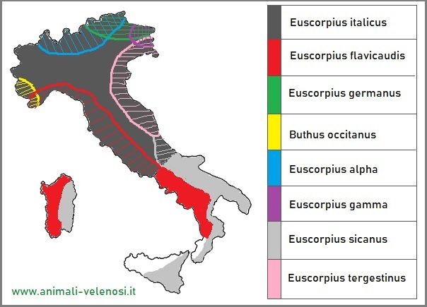 Mappa degli scorpioni in Italia
